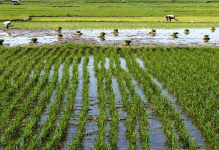 Tianjin Butuh Produk Pertanian Jatim